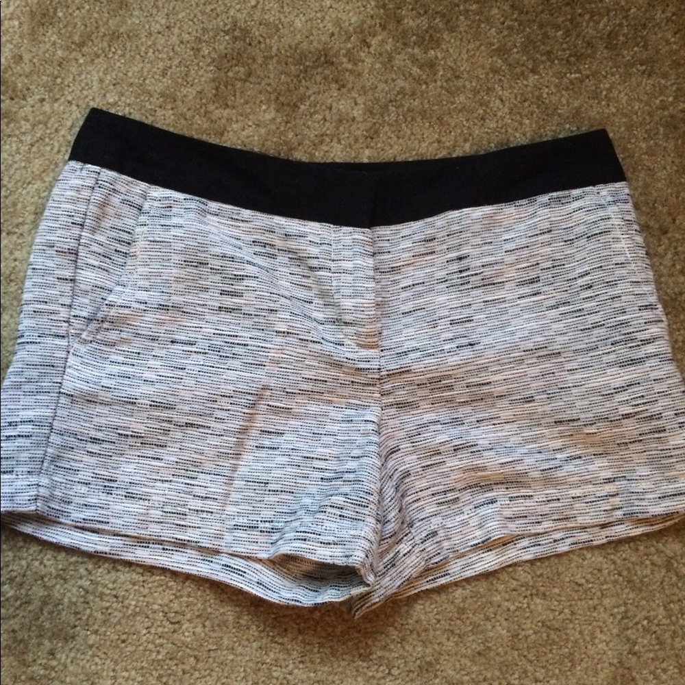 Dressy Ann Taylor LOFT shorts